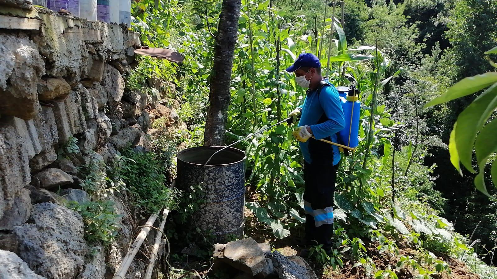 BÜYÜKŞEHİR İLAÇLAMA ÇALIŞMALARINA HIZ VERDİ